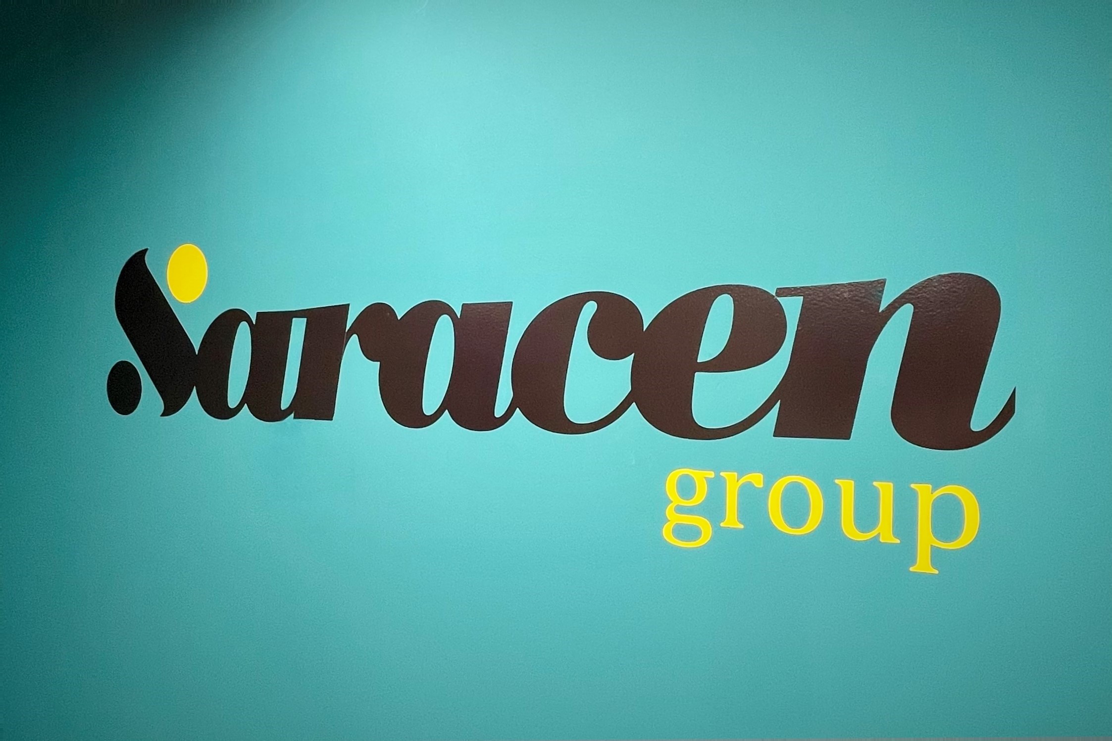 Why Should You Choose Saracen to Manage Your Project?