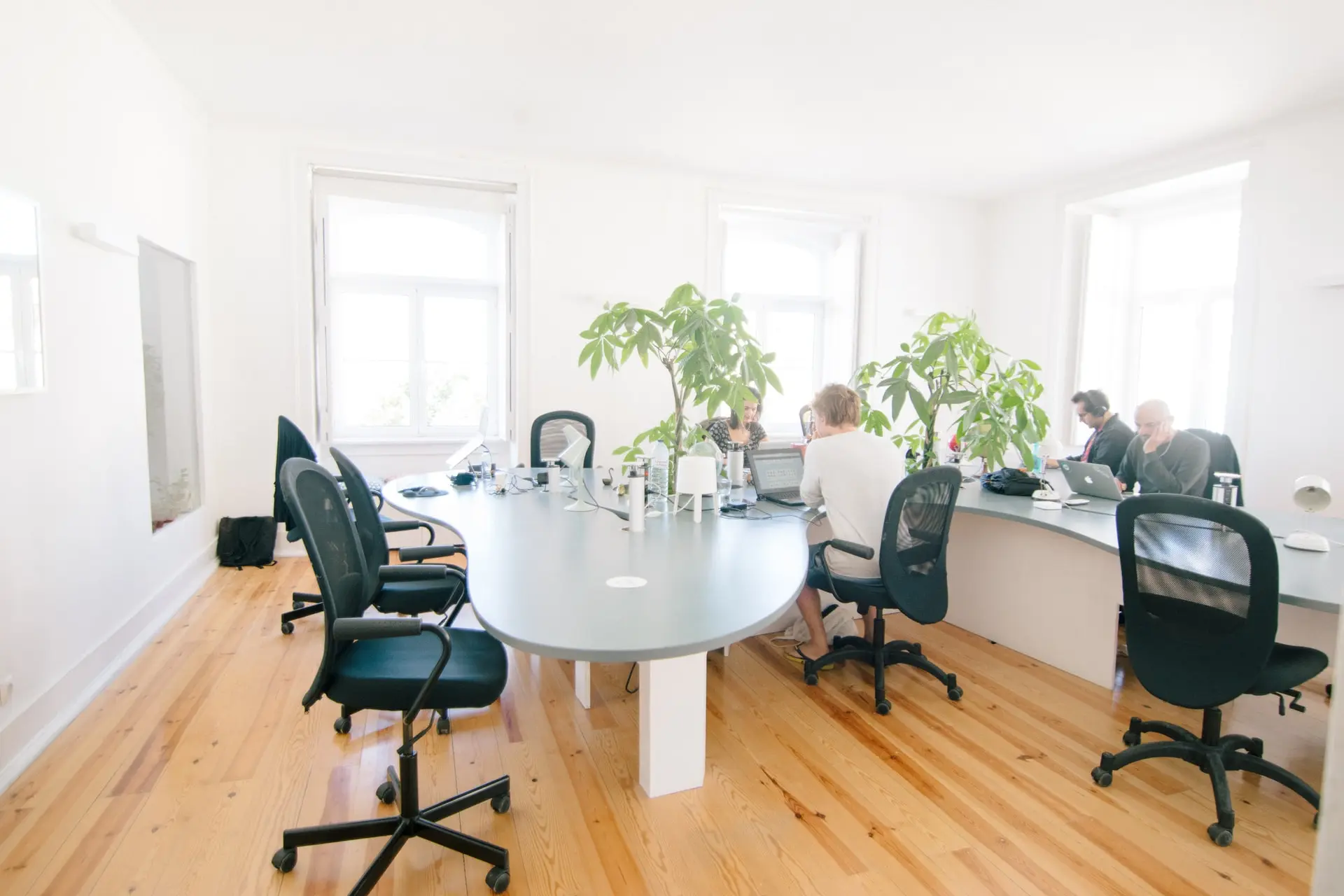 Why Your Office Needs Real Plants, Not Fake Ones