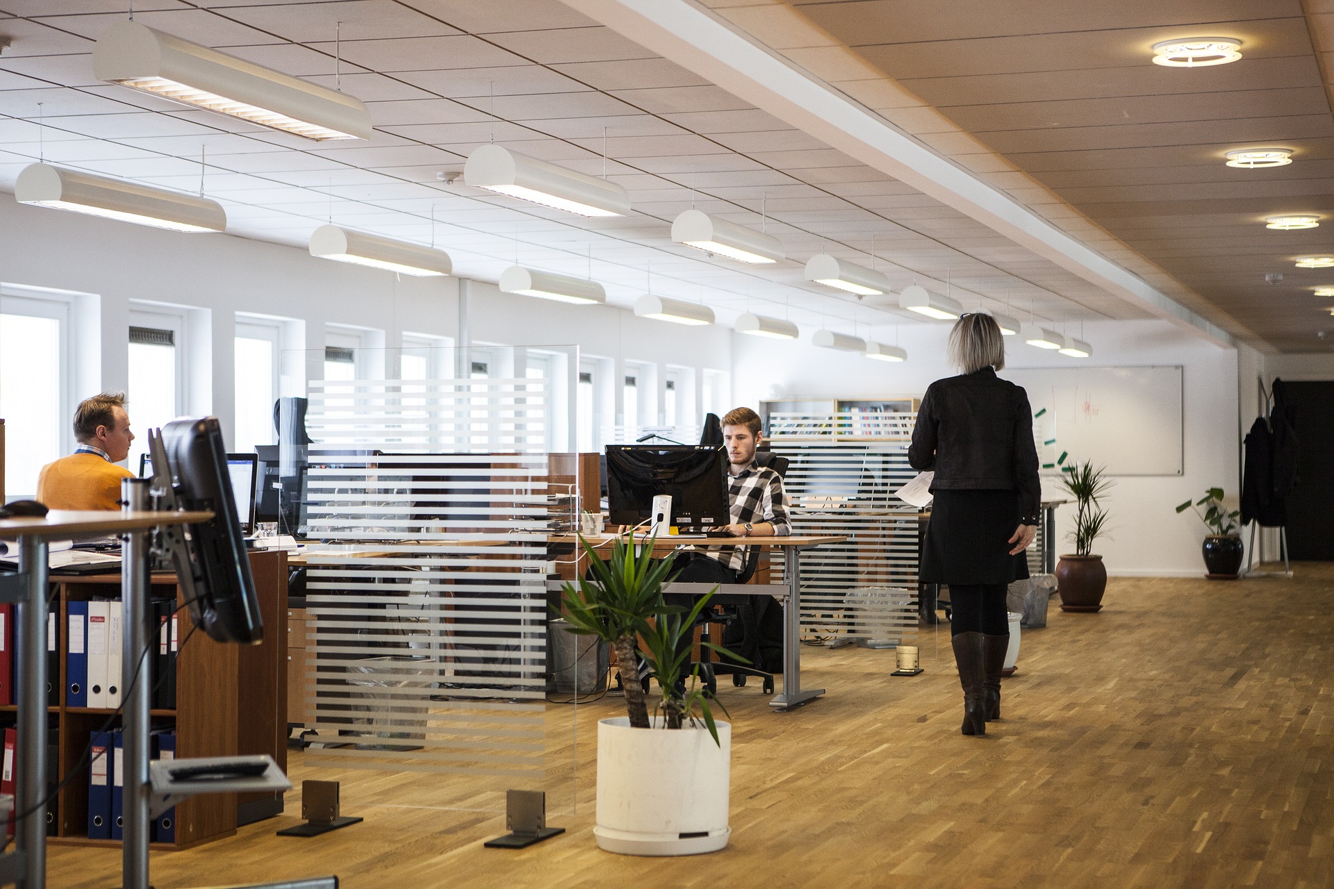 Which Office Layout Is Right For You: Linear, Radial Or Organic?